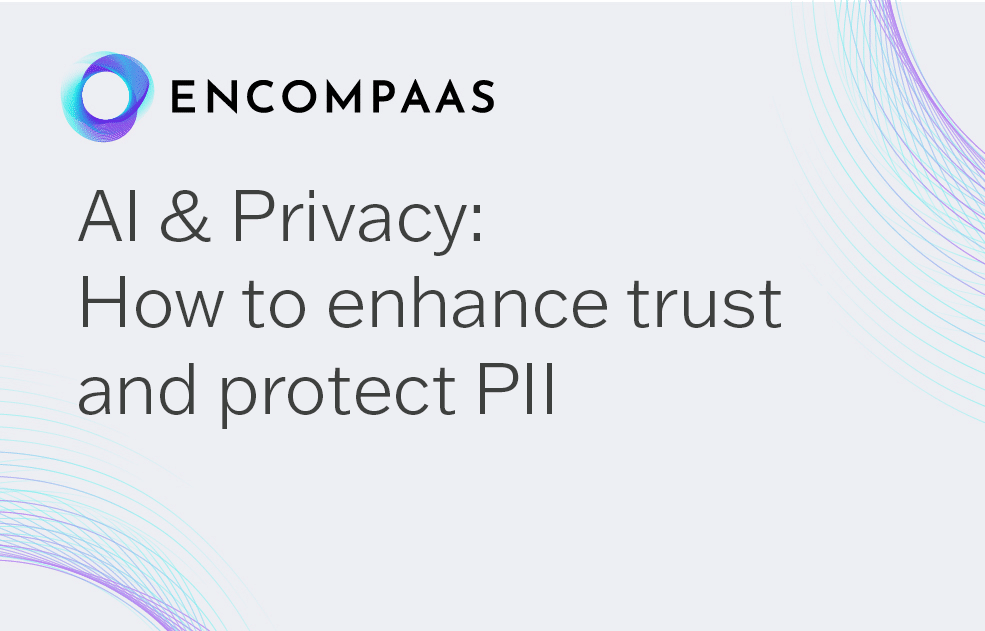 AI and Privacy: How To Enhance Trust & Protect PII