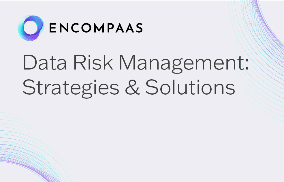 Data Risk Management: Strategies & Solutions