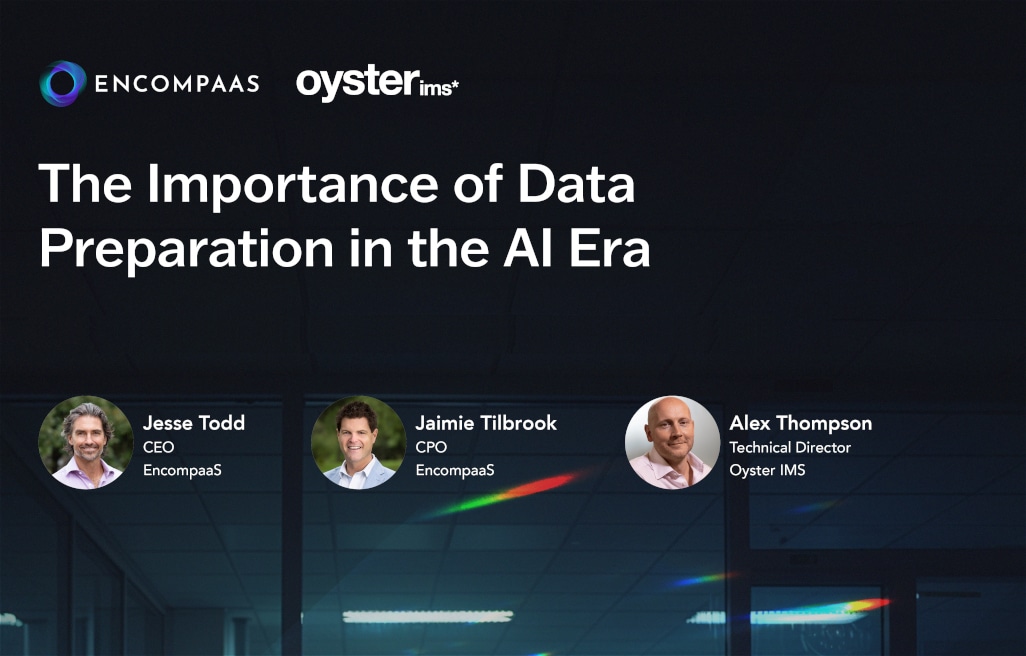 The Importance of Data Preparation in the AI Era