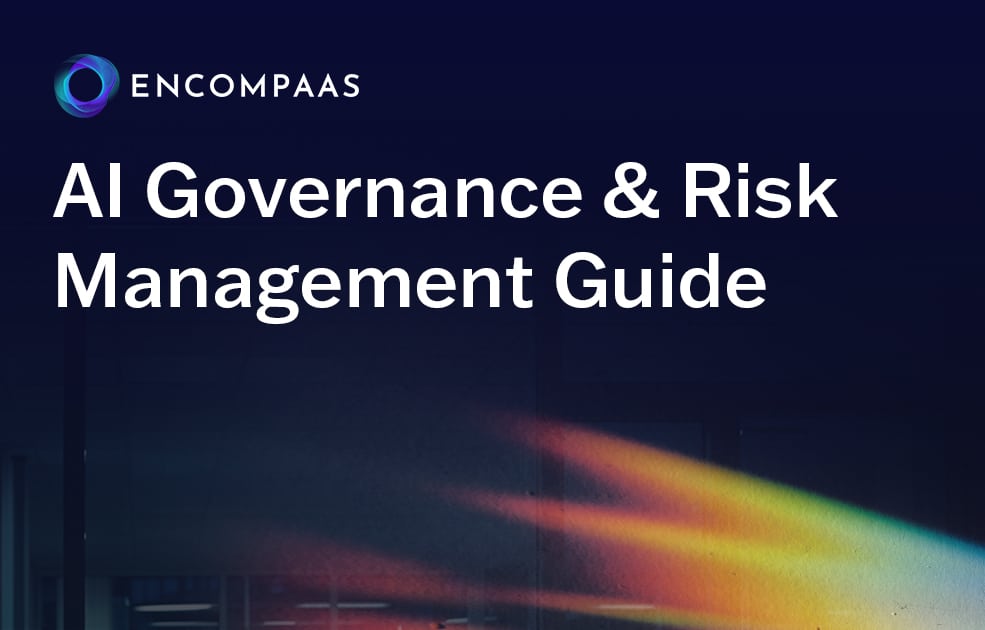 AI Governance & Risk Management Guide