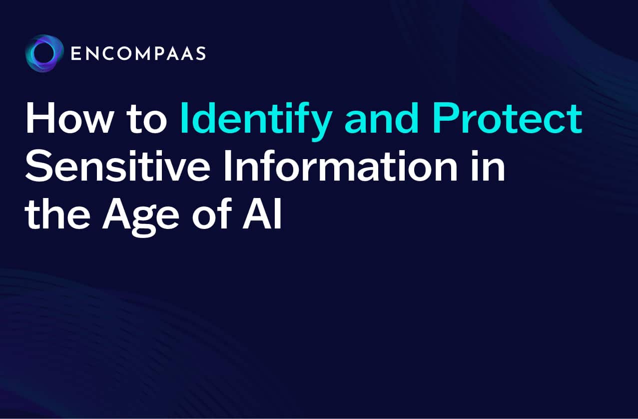 How to identify and protect sensitive information in the age of AI